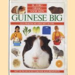 Guinese big door Mark Evans