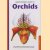 Handy pocket guide to orchids
David P. Banks
€ 5,00 Handy pocket guide to orchids
David P. Banks
€ 5,00