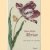 New book of flowers
Maria Sibylla Merian
€ 5,00