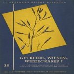 Schreibers Kleine Atlanten: Getreide-, Wiesen-, Weidegräser (twee delen samen)
Dr. Hanns Kreutz
€ 11,00 Schreibers Kleine Atlanten: Getreide-, Wiesen-, Weidegräser (twee delen samen)
Dr. Hanns Kreutz
€ 11,00