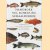 Handboek vis, schelp- en schaaldieren: vademecum met beschrijvingen, kooktechnieken en bereidingswijze van ruim 400 soorten
John van de Ven
€ 15,00 Handboek vis, schelp- en schaaldieren: vademecum met beschrijvingen, kooktechnieken en bereidingswijze van ruim 400 soorten
John van de Ven
€ 15,00