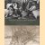 Merchant prince and master builder: Edgar J. Kaufmann and Frank Lloyd Wright
Richard Louis Cleary
€ 15,00 Merchant prince and master builder: Edgar J. Kaufmann and Frank Lloyd Wright
Richard Louis Cleary
€ 15,00