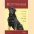 Rottweiler door Esther Verhoef