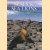 Seals And Sea Lions
Andrew Cleave
€ 6,00 Seals And Sea Lions
Andrew Cleave
€ 6,00