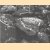 Slakkensporen / Snail's trails
F. Beerens
€ 15,00 Slakkensporen / Snail's trails
F. Beerens
€ 15,00