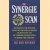 De synergie-scan
Rob Bosman
€ 10,00