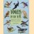 Vogels in uw tuin: maak van uw tuin een vogelparadijs
Mike Everett
€ 5,00