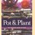 Pot & plant: vier seizoenen ideeën en sfeer
Margot Veerman
€ 5,00 Pot & plant: vier seizoenen ideeën en sfeer
Margot Veerman
€ 5,00