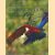 The colors of the tropics: eden on the equator
Berndt Fischer
€ 20,00 The colors of the tropics: eden on the equator
Berndt Fischer
€ 20,00