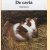 De cavia door Elvig Hansen