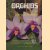 Orchids for tropical gardens
Chris K.H. Teo
€ 8,00 Orchids for tropical gardens
Chris K.H. Teo
€ 8,00