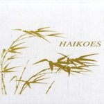 Haikus; geïnspireerd door de Japanse versvorm
A. Ording-Bol
€ 5,00