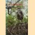 What is ecology
D. F. Owen
€ 5,00 What is ecology
D. F. Owen
€ 5,00
