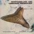Newfoundland and Labrador prehistory
James A. Tuck
€ 10,00 Newfoundland and Labrador prehistory
James A. Tuck
€ 10,00