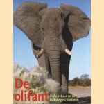 De olifant in de natuur- en de cultuurgeschiedenis
Martin Saller
€ 7,50 De olifant in de natuur- en de cultuurgeschiedenis
Martin Saller
€ 7,50