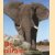 De olifant in de natuur- en de cultuurgeschiedenis
Martin Saller
€ 10,00
