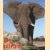 De olifant in de natuur- en de cultuurgeschiedenis
Martin Saller
€ 10,00 De olifant in de natuur- en de cultuurgeschiedenis
Martin Saller
€ 10,00