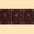 Talleyrand (6 delen samen)
G. Lacour-Gayet
€ 30,00 Talleyrand (6 delen samen)
G. Lacour-Gayet
€ 30,00