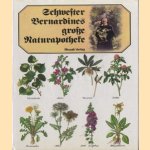 Schwester Bernardines grosse Naturapotheke
Hermann Lichtenstern e.a.
€ 7,50