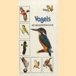 Vogels met 160 soorten in kleur door Rob Hume