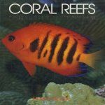 Coral Reefs nature's richest realm
Roger Steene
€ 5,50