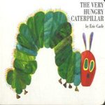 The very hungry caterpillar
Eric Carle
€ 5,00