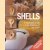 Shells. A fascinating guide to the treasures of the beach door diverse auteurs