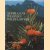 Australiaa's western wildflowers
M.K. Morcombe
€ 8,00 Australiaa's western wildflowers
M.K. Morcombe
€ 8,00