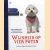 Wijsheid op vier poten: drie generaties, twee honden & alledaags geluk
Gotham Chopra
€ 6,50 Wijsheid op vier poten: drie generaties, twee honden & alledaags geluk
Gotham Chopra
€ 6,50