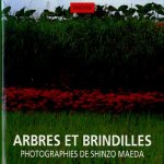 Arbres et Brindilles door Shinzo Maeda