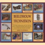 Beeldhouwtechnieken. Een unieke, geïllustreerde stap-voor-stap gids van de belangrijkste beeldhouwtechnieken plus een overzicht van voltooide werkstukken
John Plowman
€ 5,00