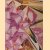 Family Values. Amerikanische Kunst der achtziger und neunziger Jahre / American Art in the Eighties and Nineties
Uwe M. Schneede e.a.
€ 15,00 Family Values. Amerikanische Kunst der achtziger und neunziger Jahre / American Art in the Eighties and Nineties
Uwe M. Schneede e.a.
€ 15,00