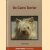 De Cairn Terrier
F Hofmeester
€ 5,00 De Cairn Terrier
F Hofmeester
€ 5,00