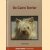 De Cairn Terrier door F Hofmeester