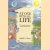 At one with all life. A personal journey in Gaian Communities
Judith L. Boice
€ 8,00 At one with all life. A personal journey in Gaian Communities
Judith L. Boice
€ 8,00