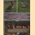 Sierwatervogels
R.R.P van der Mark
€ 5,00 Sierwatervogels
R.R.P van der Mark
€ 5,00