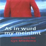 As in wurd my meinimt
Gys Miedema
€ 19,00