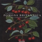Pomona Britannica the complete plates
George Brookshaw
€ 15,00
