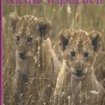 Kleine wijsheden. Hoe kinderen de wereld zien door Anne Yelland