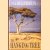 The hanging tree
David Lambkin
€ 4,00 The hanging tree
David Lambkin
€ 4,00