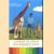 Rainbow's end. Een jeugd in Afrika
St. John
€ 5,00 Rainbow's end. Een jeugd in Afrika
St. John
€ 5,00