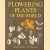 Flowering plants of the world
V.H. Heywood
€ 12,50 Flowering plants of the world
V.H. Heywood
€ 12,50