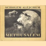 Methusalem. Die Geschichte eines Pferdes
Scholem Alejchem
€ 5,00