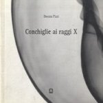Conchiglie ai raggi X door Donata Pizzi