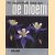Het mysterieuze leven van de bloem
Paul Jaeger
€ 6,50 Het mysterieuze leven van de bloem
Paul Jaeger
€ 6,50