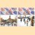 15e Elfstedentocht - 1997 - 8 gesorteerde ansichtkaarten - serie 1 en serie 2
diverse auteurs
€ 5,00 15e Elfstedentocht - 1997 - 8 gesorteerde ansichtkaarten - serie 1 en serie 2
diverse auteurs
€ 5,00