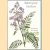 Subtropical gardens
David Bramwell e.a.
€ 15,00 Subtropical gardens
David Bramwell e.a.
€ 15,00