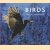 Birds. Magic Moments
Markus Varesvuo
€ 10,00