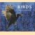 Birds. Magic Moments
Markus Varesvuo
€ 10,00 Birds. Magic Moments
Markus Varesvuo
€ 10,00