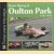 Motor Racing at Oulton Park in the 1970s door Peter McFayden
